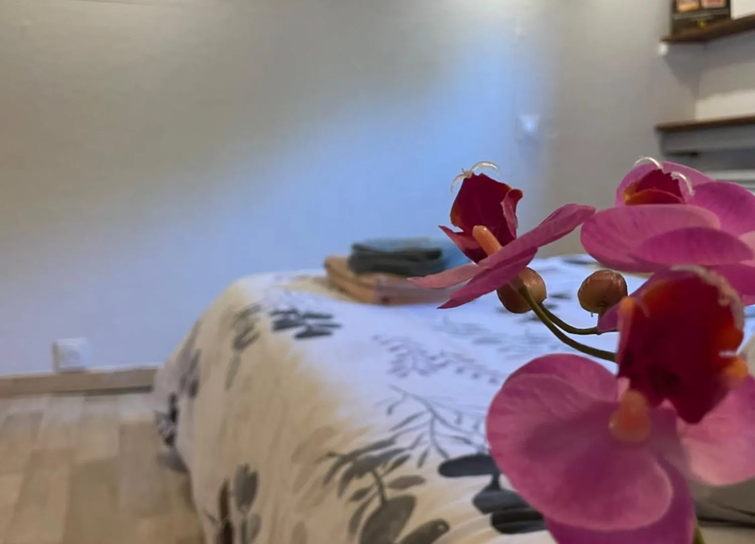 ארל Peniche Le Pescalune - Chambre D'Hotes לינה וארוחת בוקר